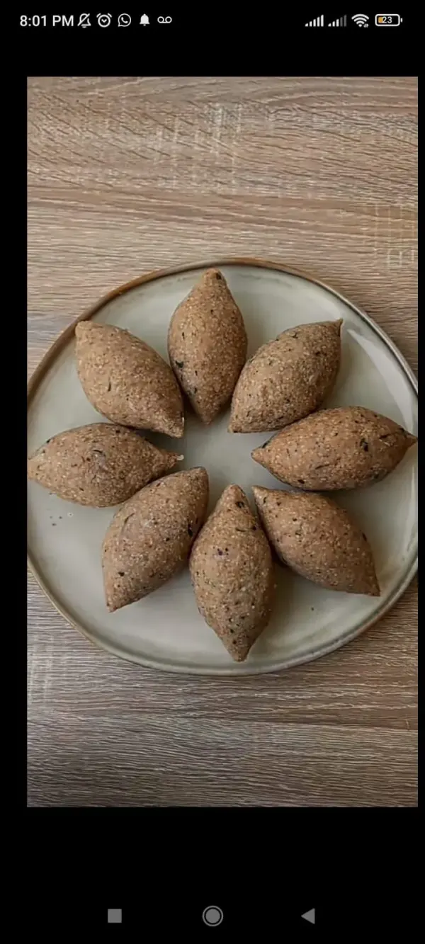 KIBBE CONGELADO X6