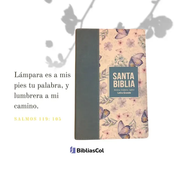 Biblia RVR60 Letra Grande 12 pts Símil Piel Azul Acero | Palabras de Jesús en Rojo