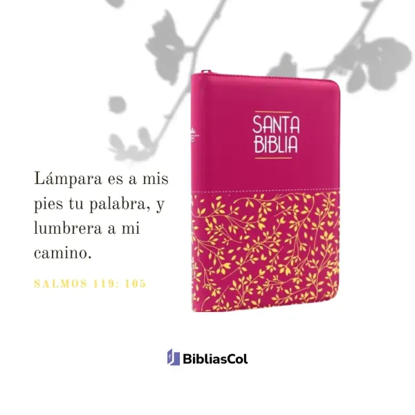 Biblia Reina Valera 1960 con Códigos QR y Ayudas de Estudio | Nueva Tipografía de Alta Legibilidad