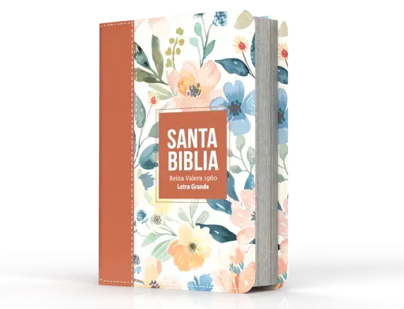 Biblia RVR 1960 Letra Grande Tamaño Manual Símil Piel Naranja Clara