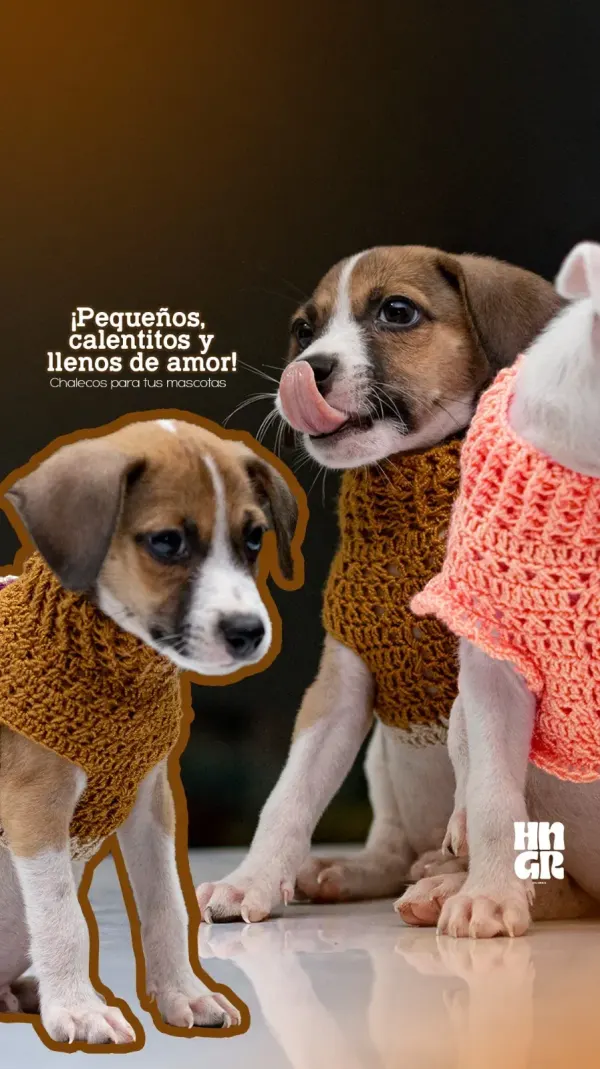 Chalecos para perritos a medida
