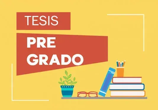 Asesoría para el Desarrollo de Tesis, Proyectos o Parte de los Mismos, correspondientes a titulación de Pregrado (Tercer Nivel)