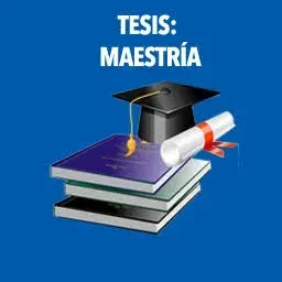 Asesoría para el desarrollo de Tesis correspondientes a cuarto nivel (Maestrías)