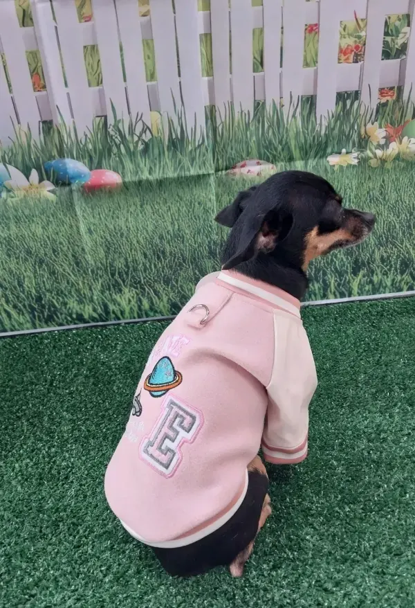 Chaqueta