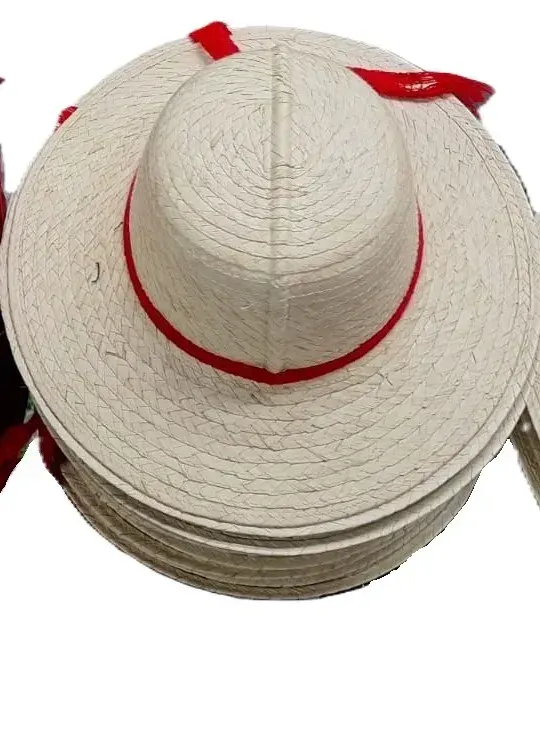 Sombrero Típico Mediano