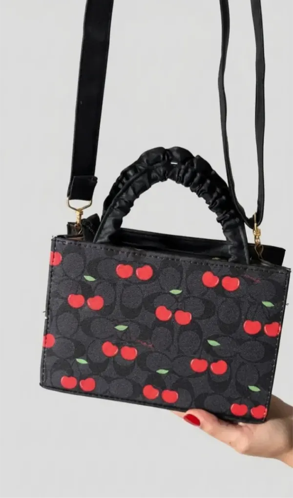 Bolsos y Accesorios