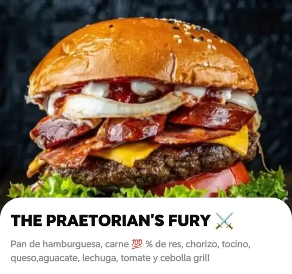 THE PRAETORIAN'S FURY