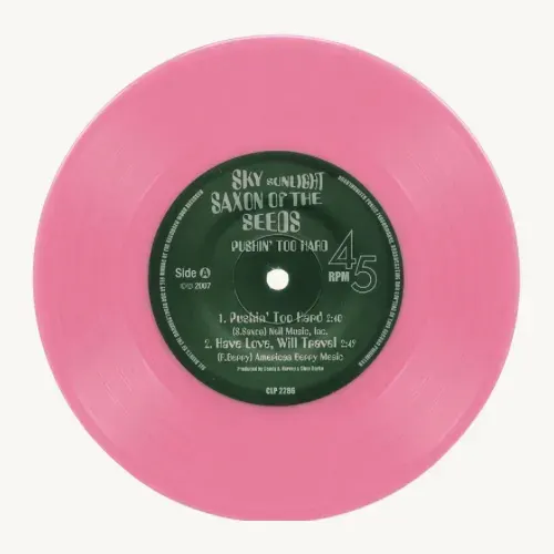Sky Sunlight Saxon - Pushin' Too Hard