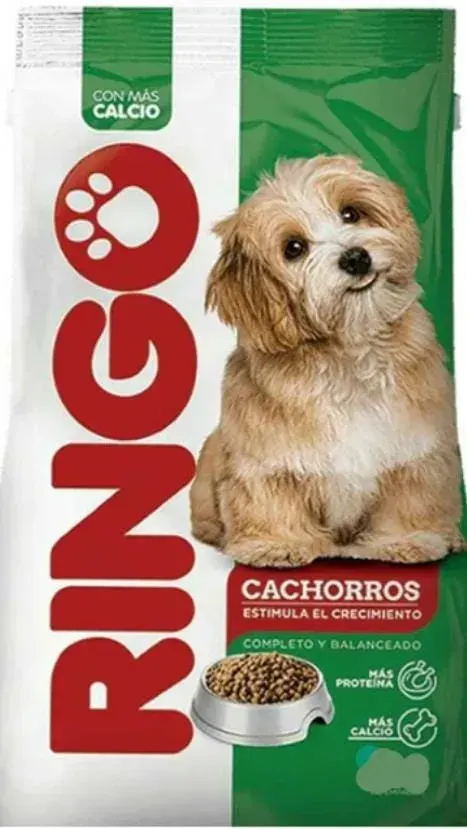 ringo cachorro