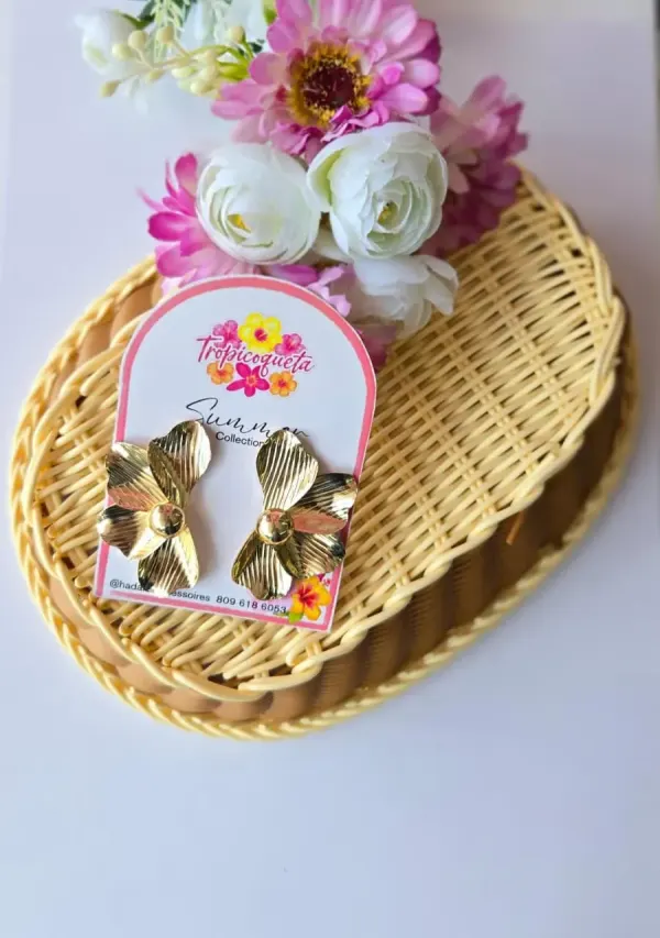 Aretes Rodinados Dorados