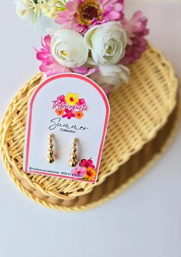 Aretes Rodinados Circulos caida