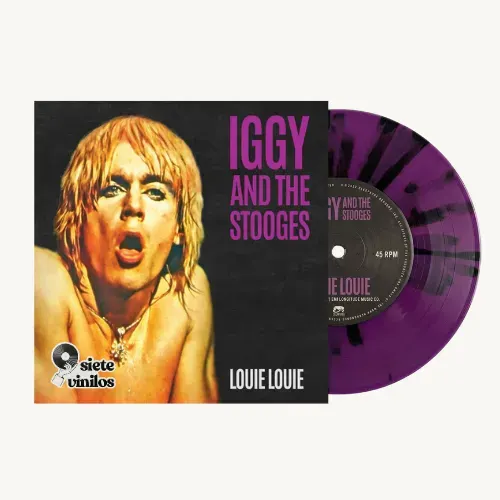 Iggy Pop & The Stooges - Louie Louie