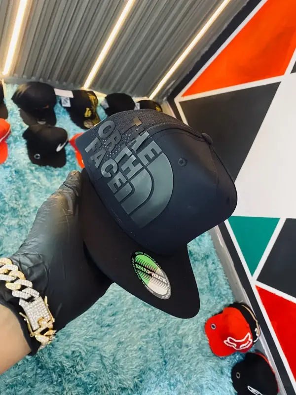 GORRA THE NORTH FACE
