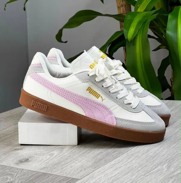 Puma tabla