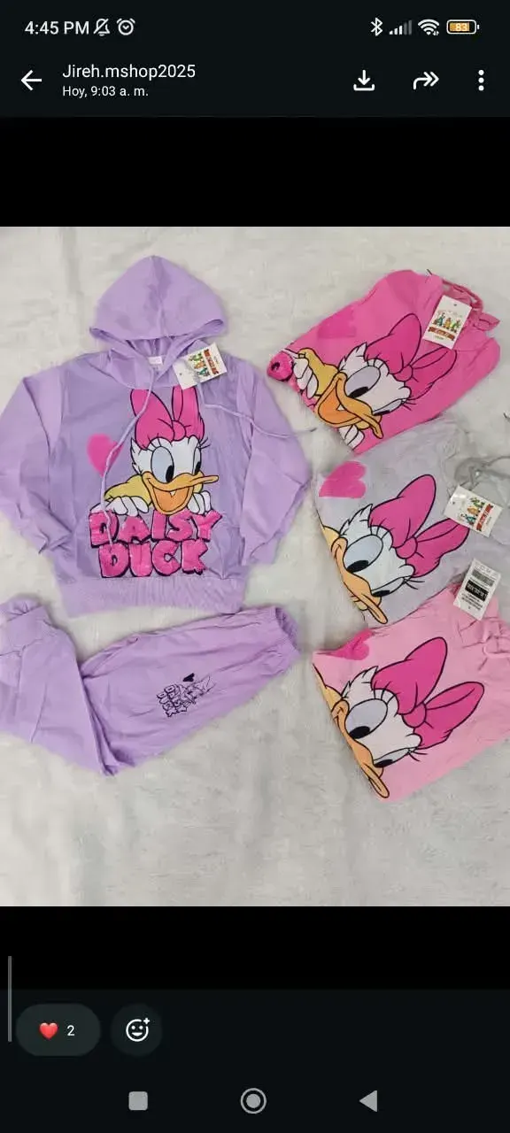 Conjunto deportivo (2 piezas)