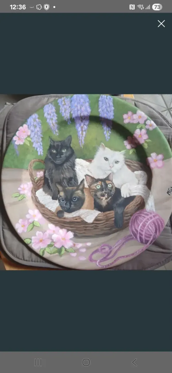 Gatos