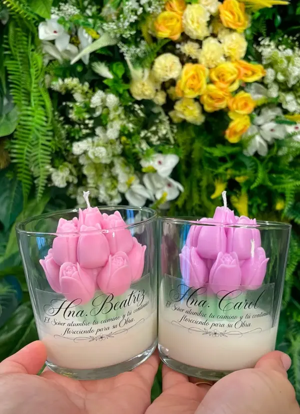 Tulipanes 🌷