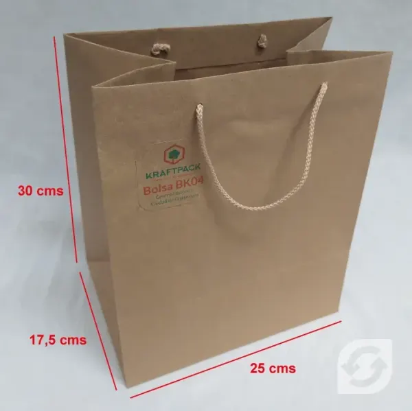 Bolsa BK04