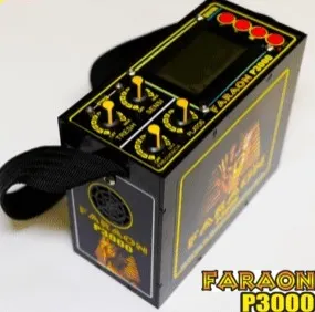 P3000