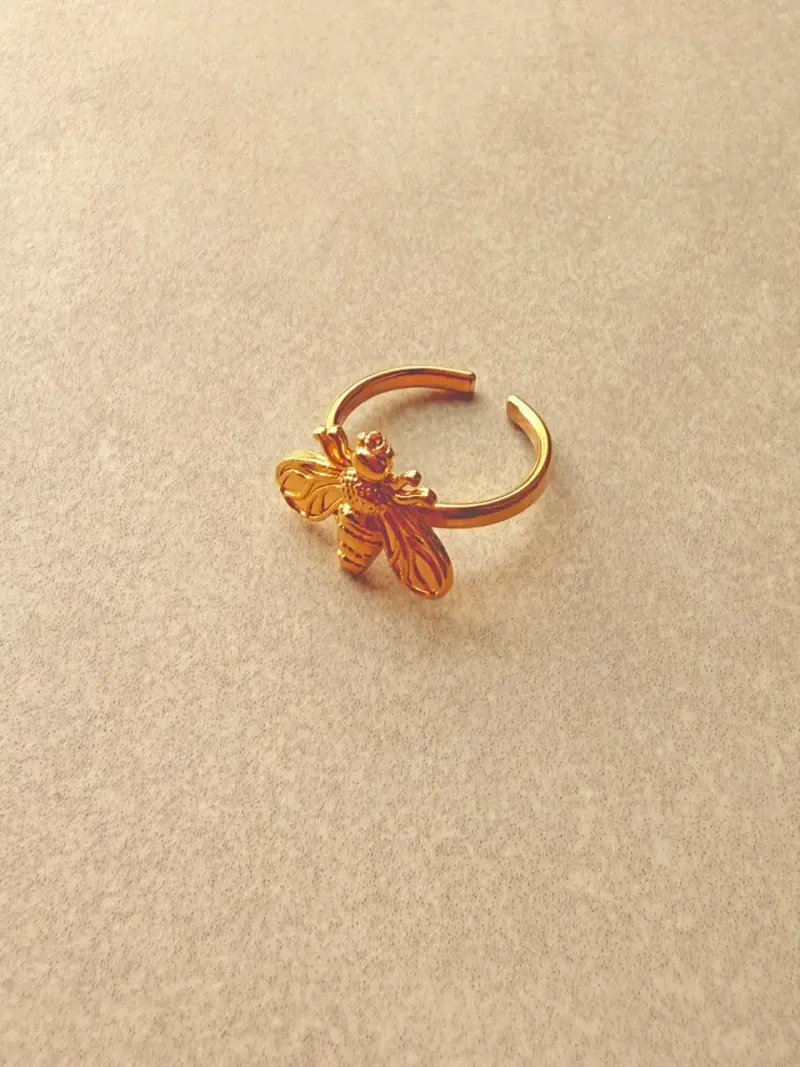 Anillos