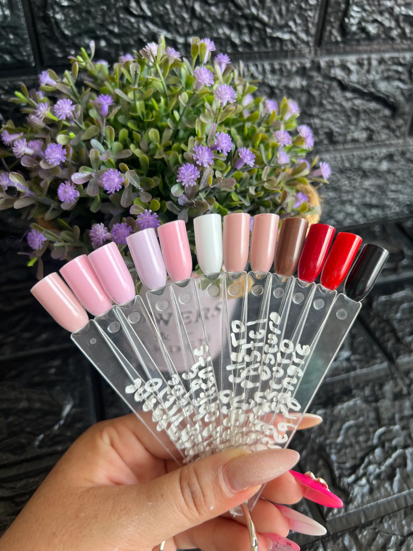Esmaltes beifa 12ml