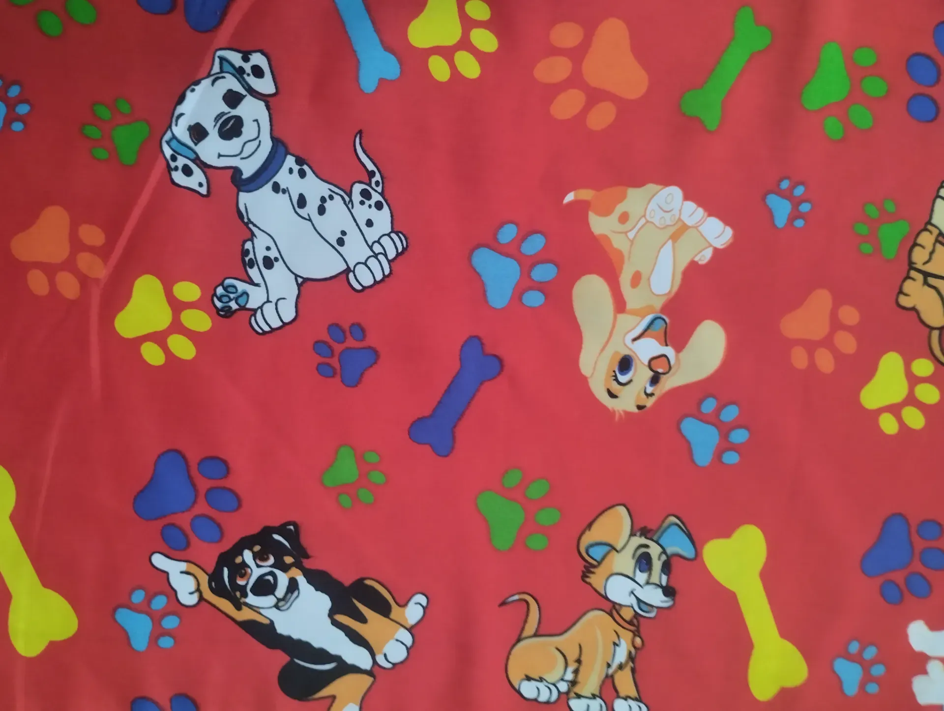 Vista 70