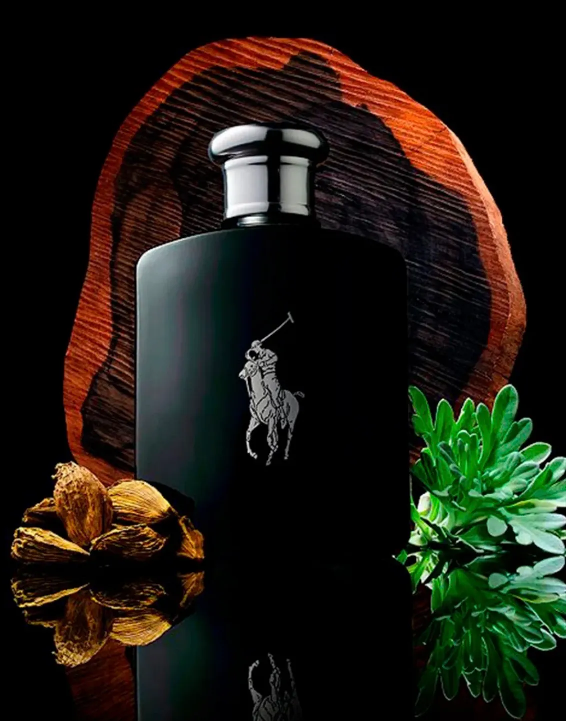 POLO BLACK