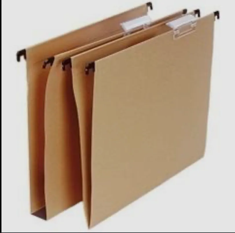 Carpeta colgante