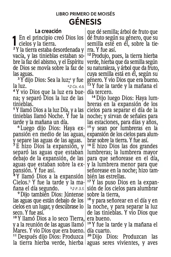 Vista 5