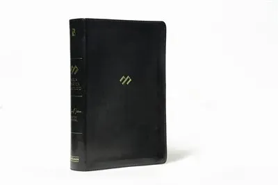 Vista 5
