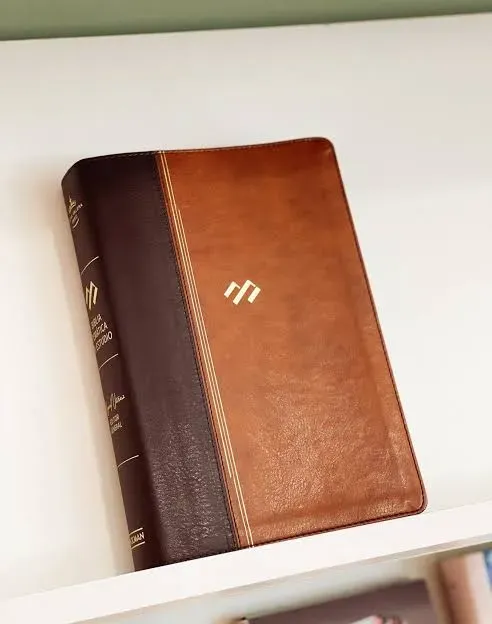Vista 8