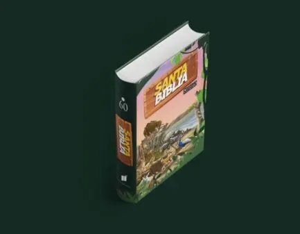Vista 2