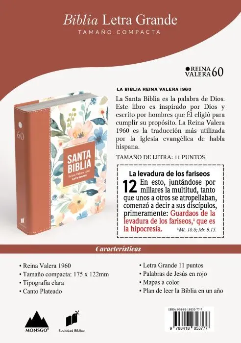 Vista 3