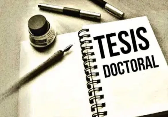 ASESORÍA PARA EL DESARROLLO DE TESIS CORRESPONDIENTES A DOCTORADO INTERNACIONAL PHD