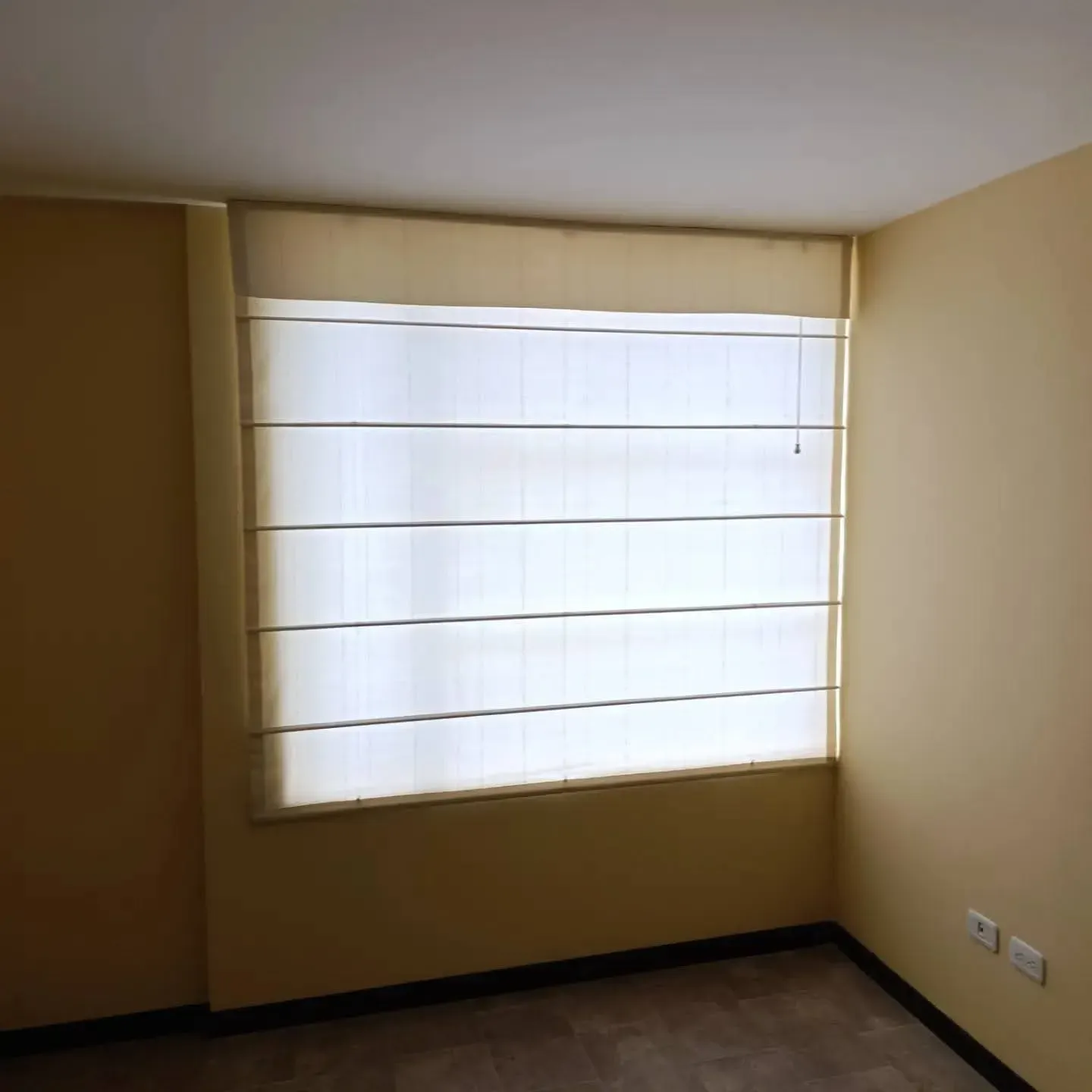 Vista 5
