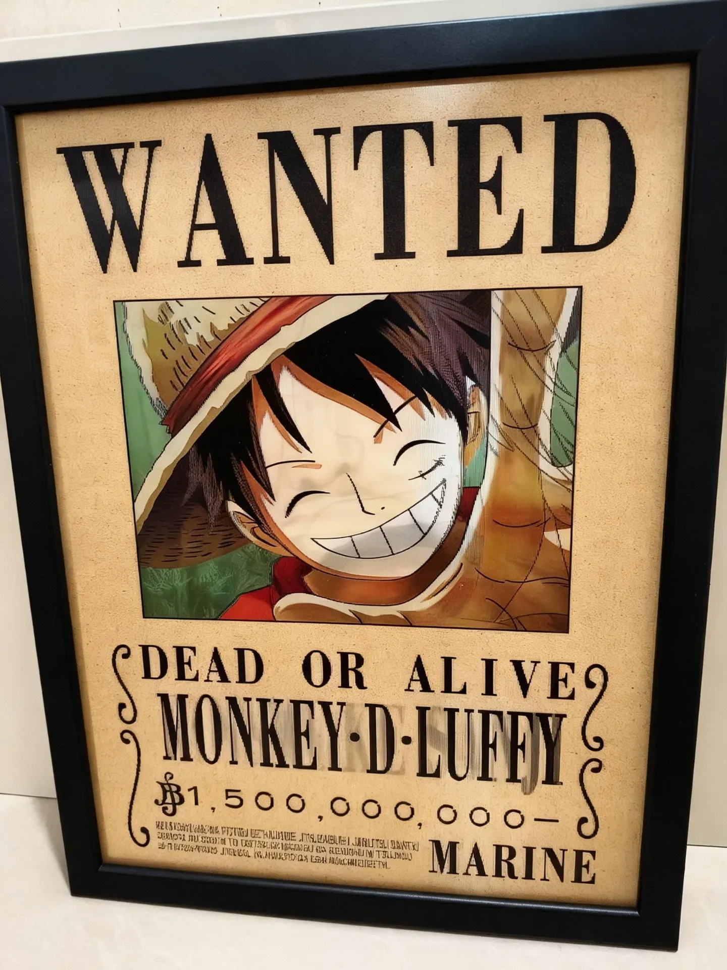 Cuadro One Piece Ref OP14