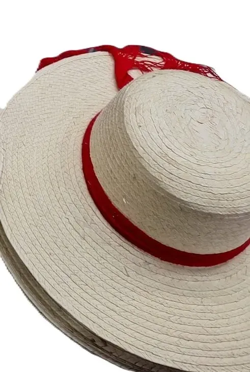 Sombrero Típico Grande