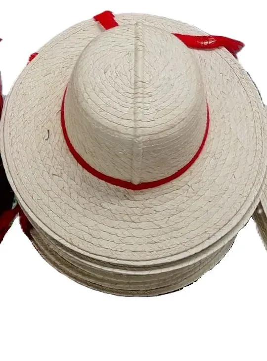 Sombrero Típico Mediano