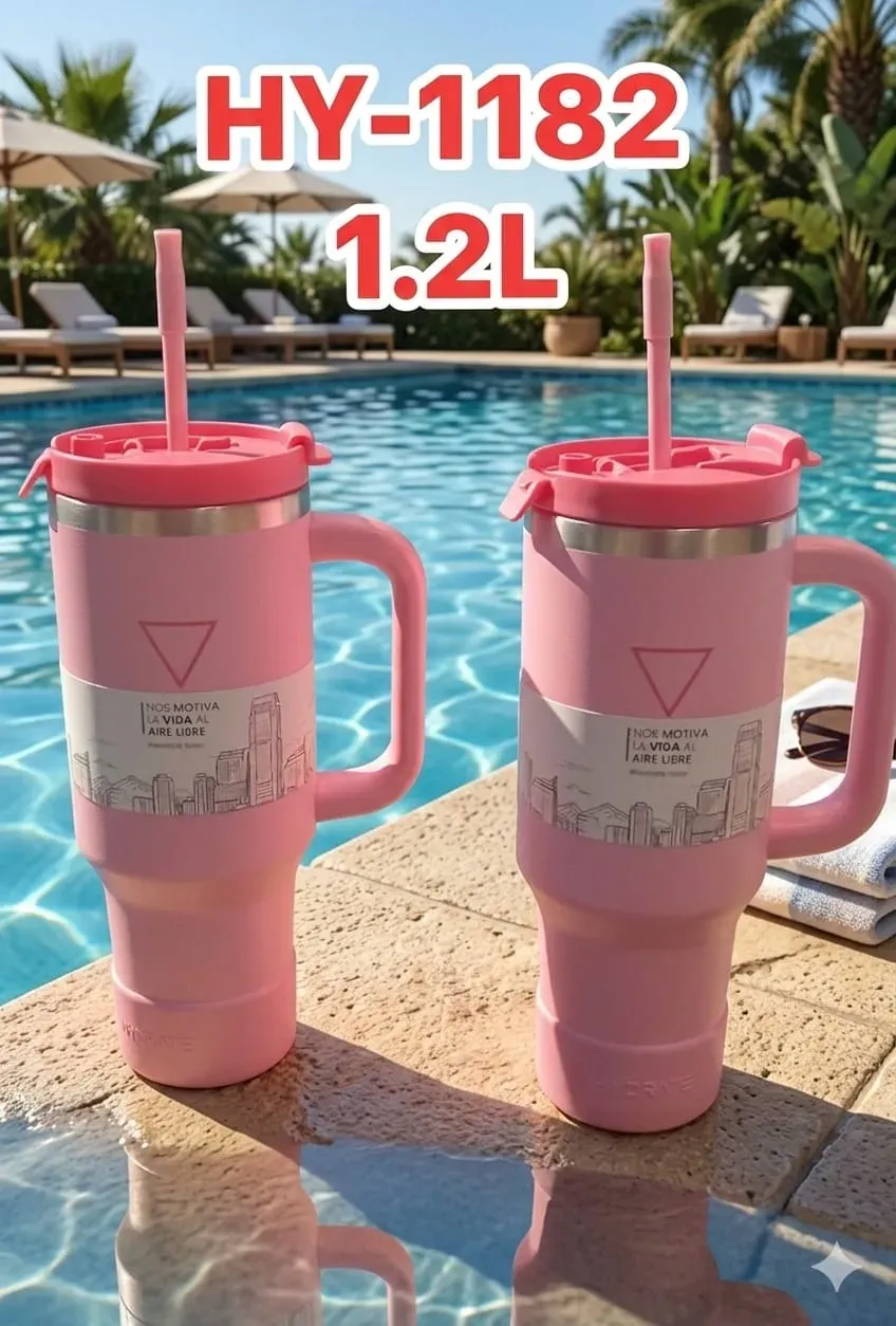 Vista 2