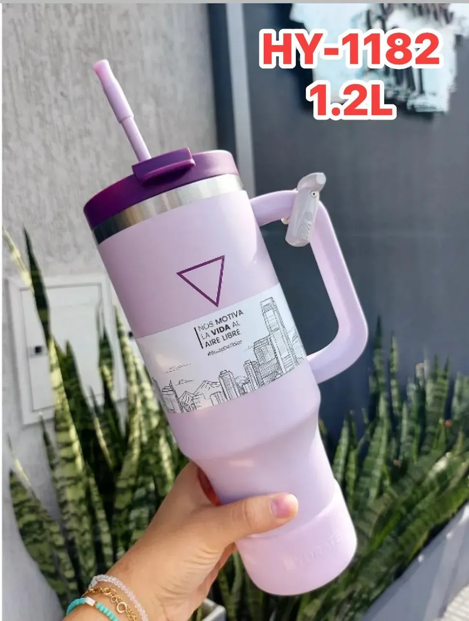 Vista 3