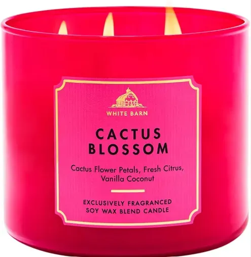 cactus blossom vela 3 mechas