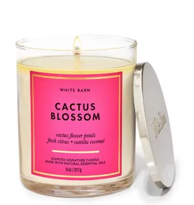 cactus blossom vela 1 mesa