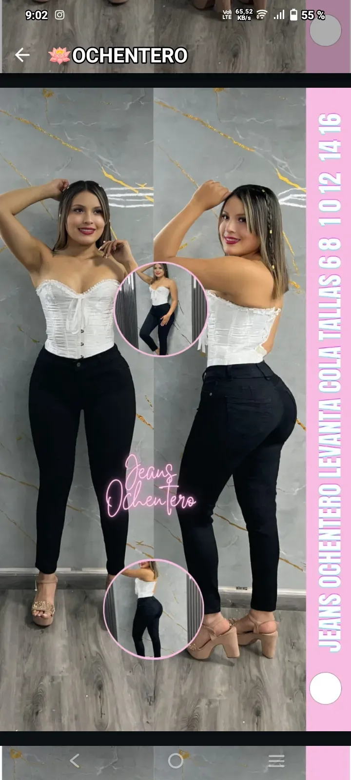 Vista 12