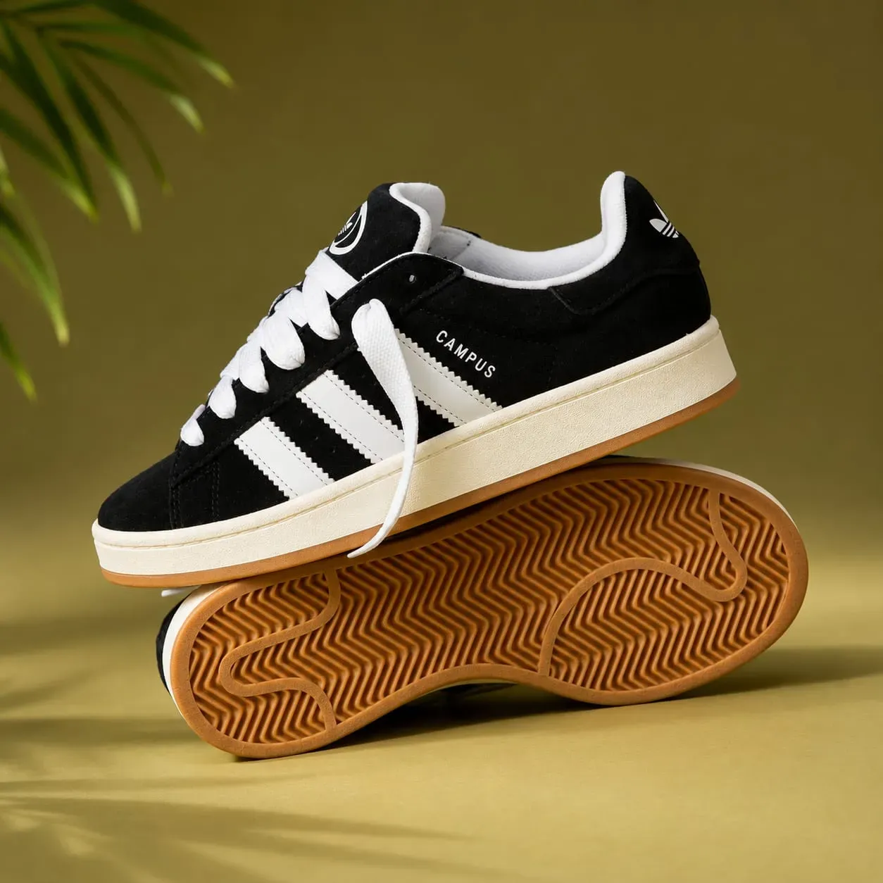 Adidas campus