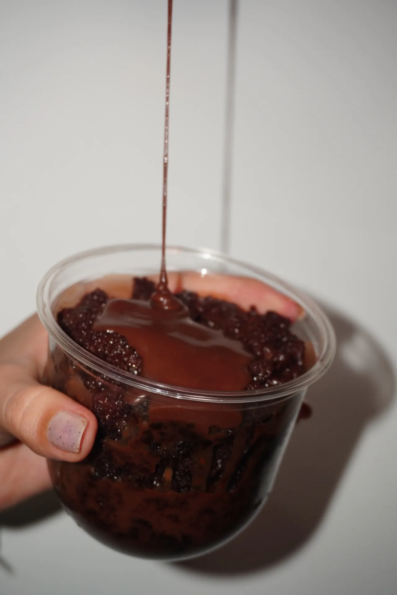Vista 4