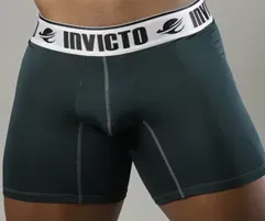 Vista 19