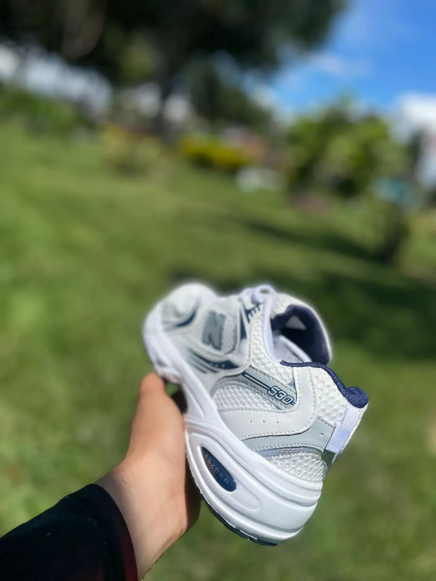Vista 5