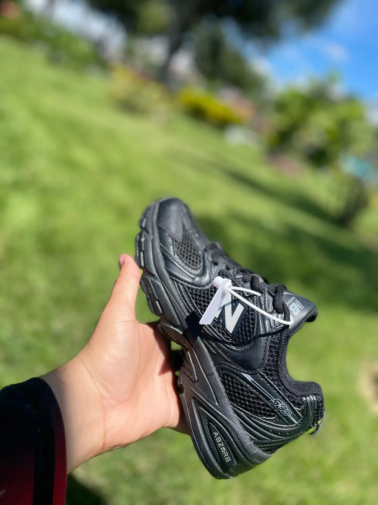 Vista 6