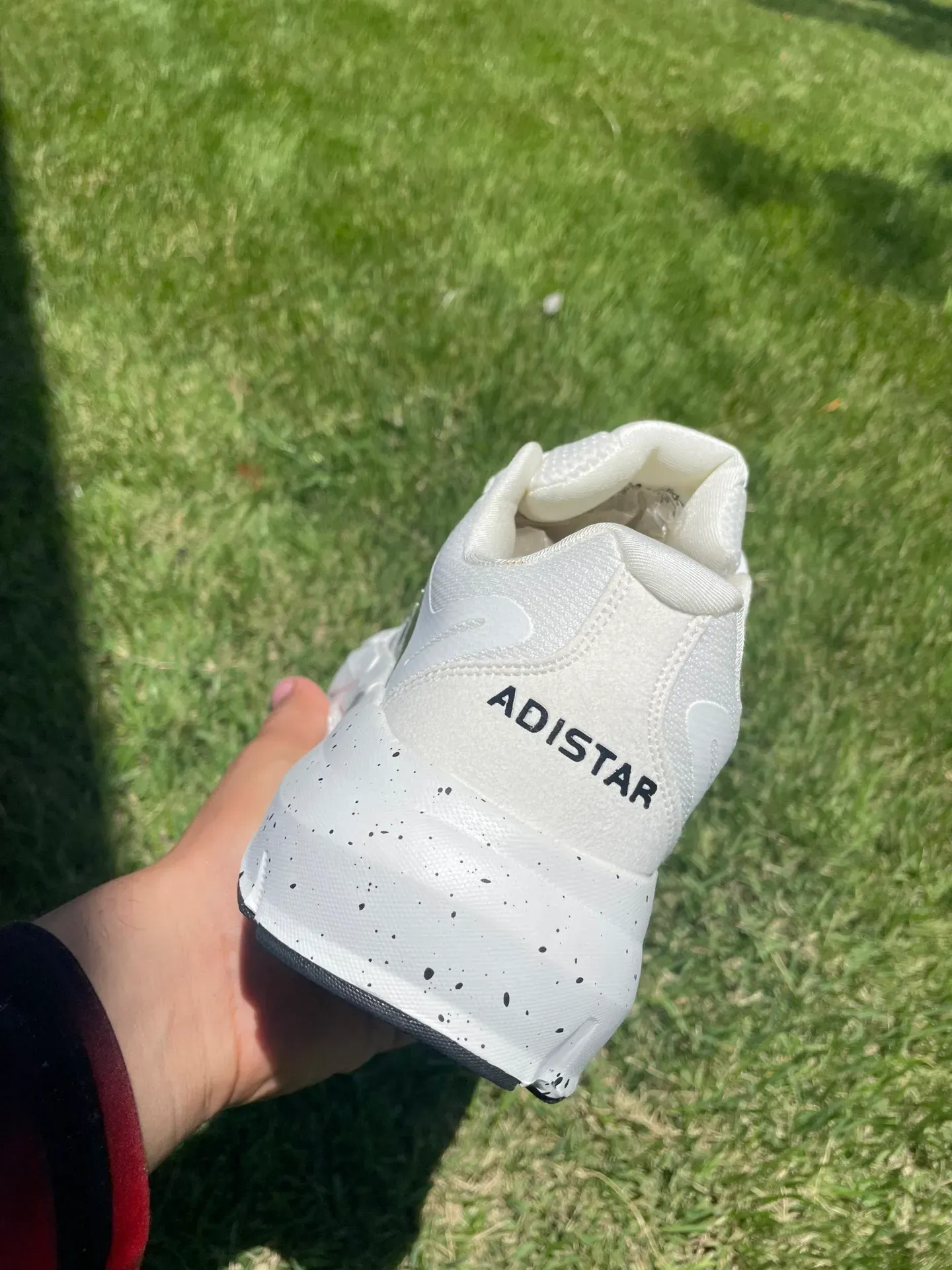 Vista 16