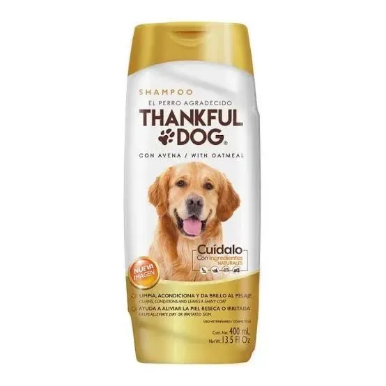 shampoo thankful dog